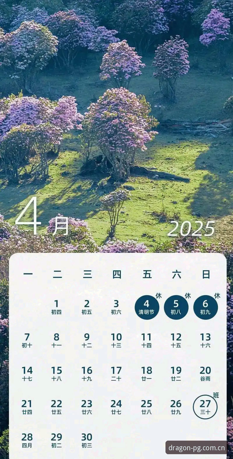 PG中国端 下载链接获取安卓版 PG官网平台2025纪念版深度评测:避坑指南与安卓端下载全攻略